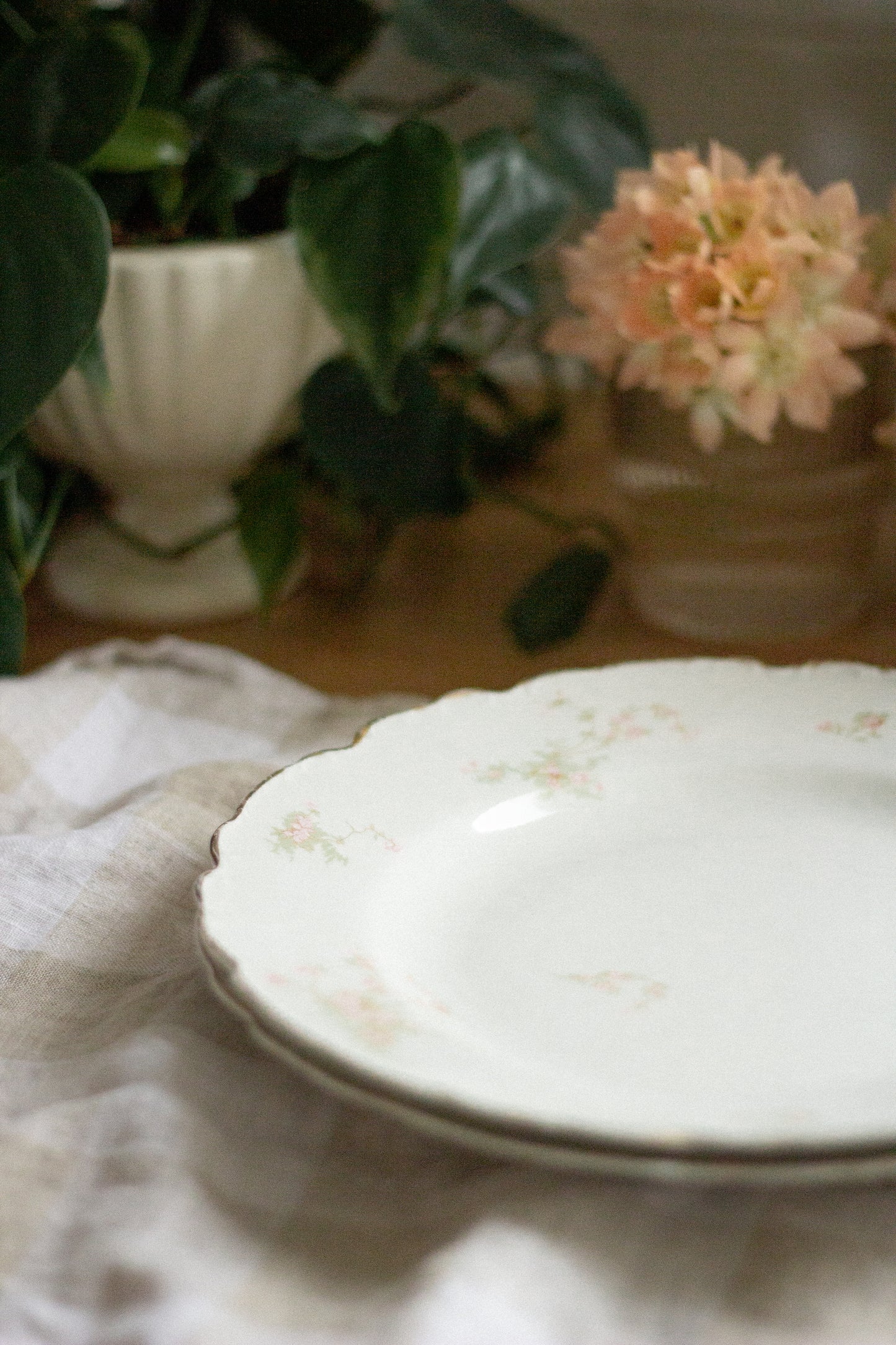 Two French Dinner Plates