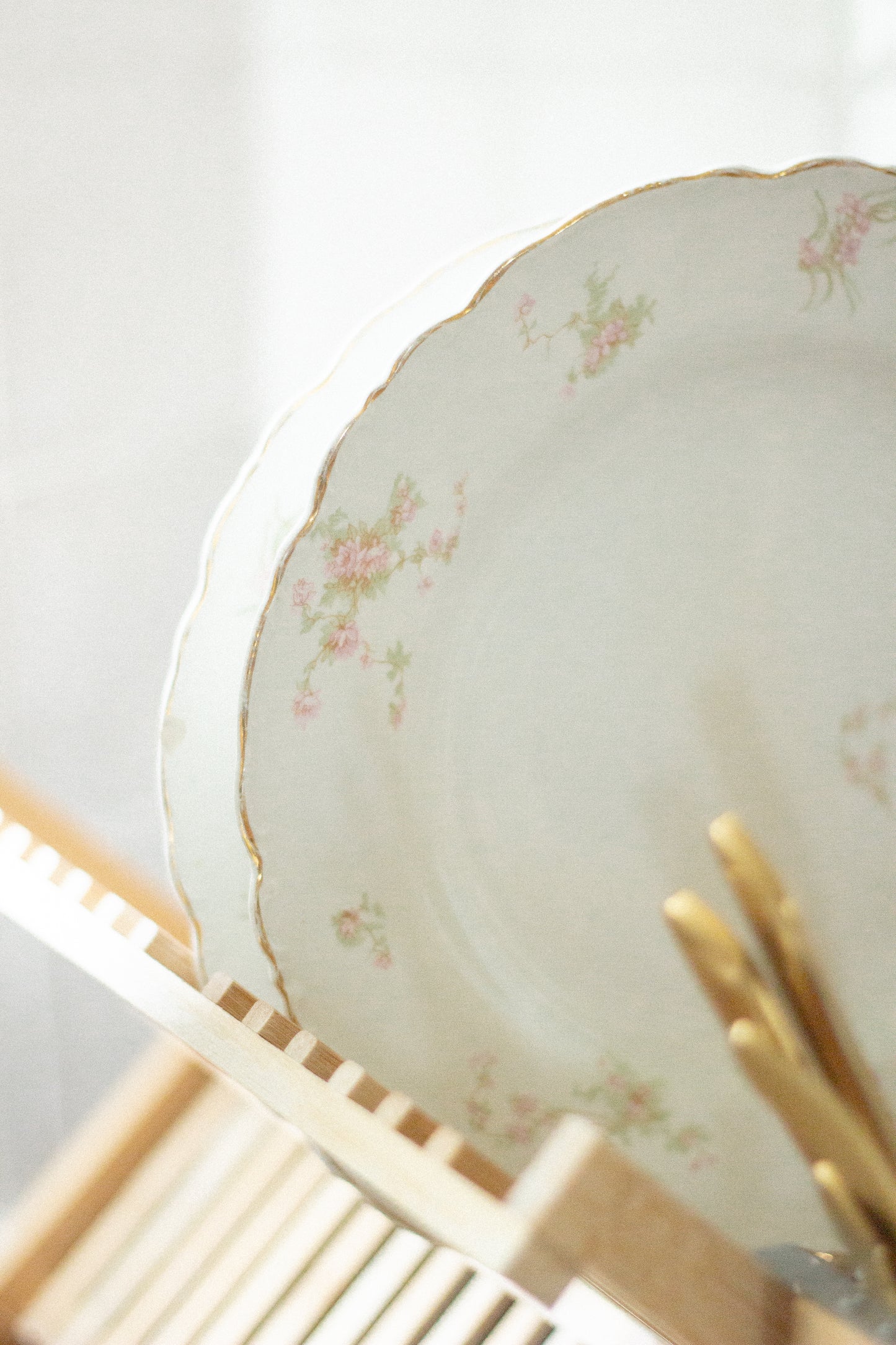 Two French Dinner Plates
