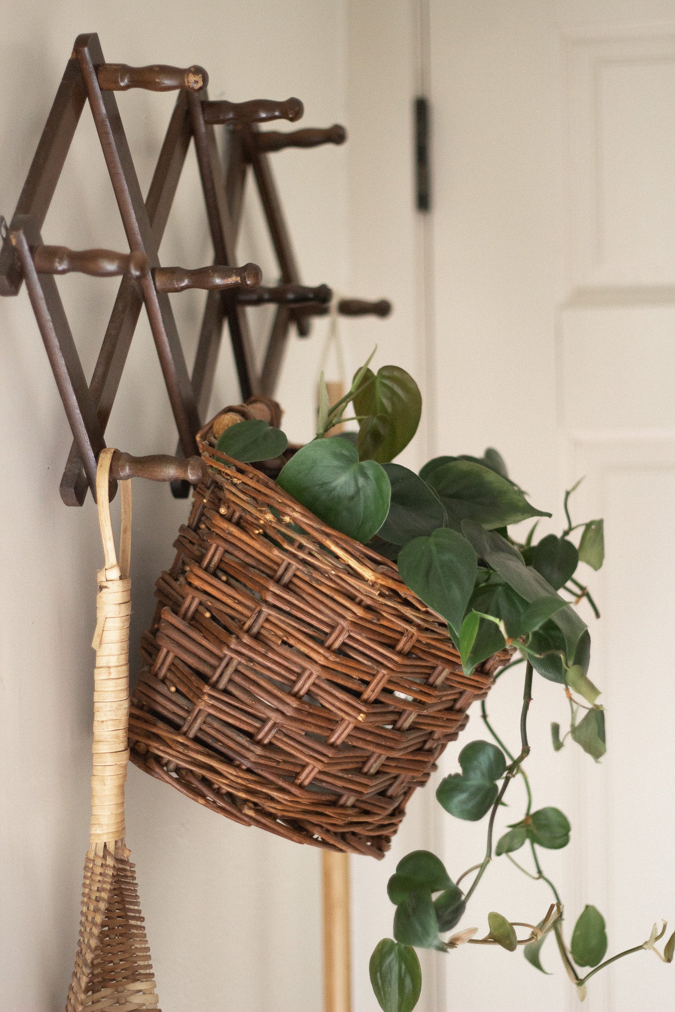 Large Hanging Basket