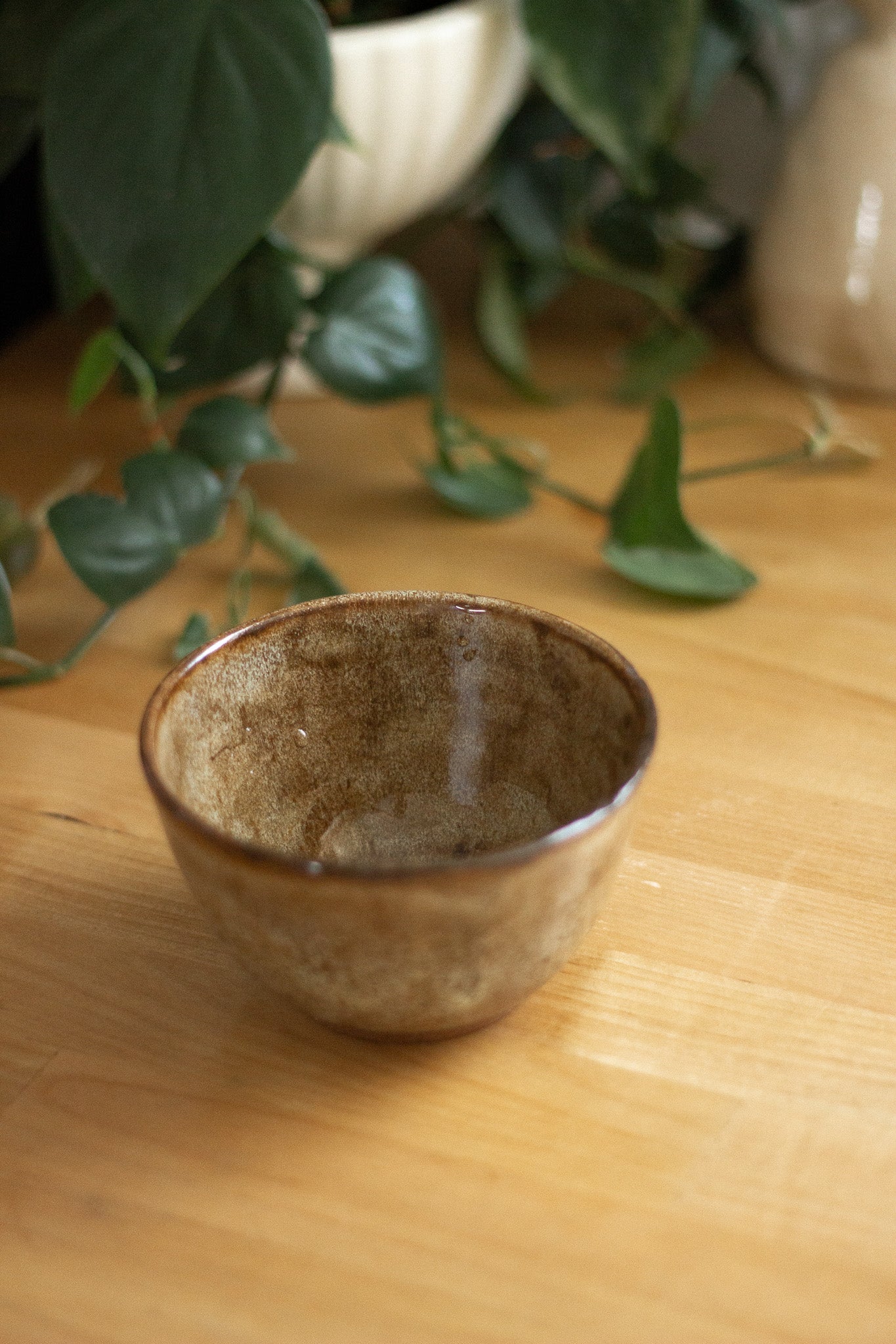 Hand-Thrown Pottery Dish