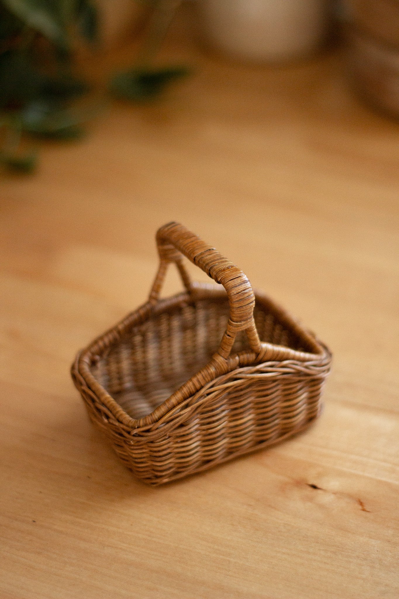 Miniature Rectangular Hanging Basket