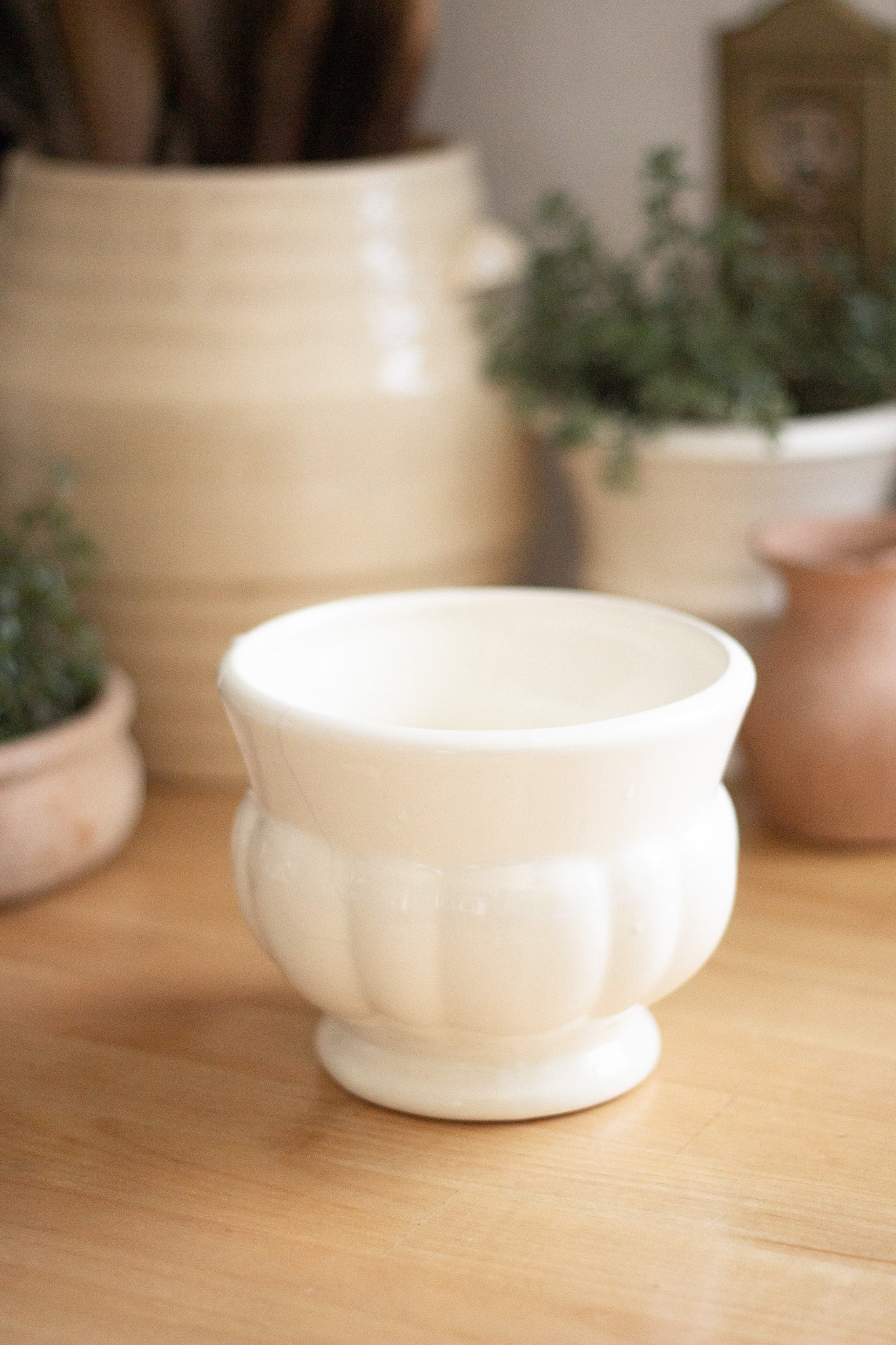 Creamy White Ceramic Potter
