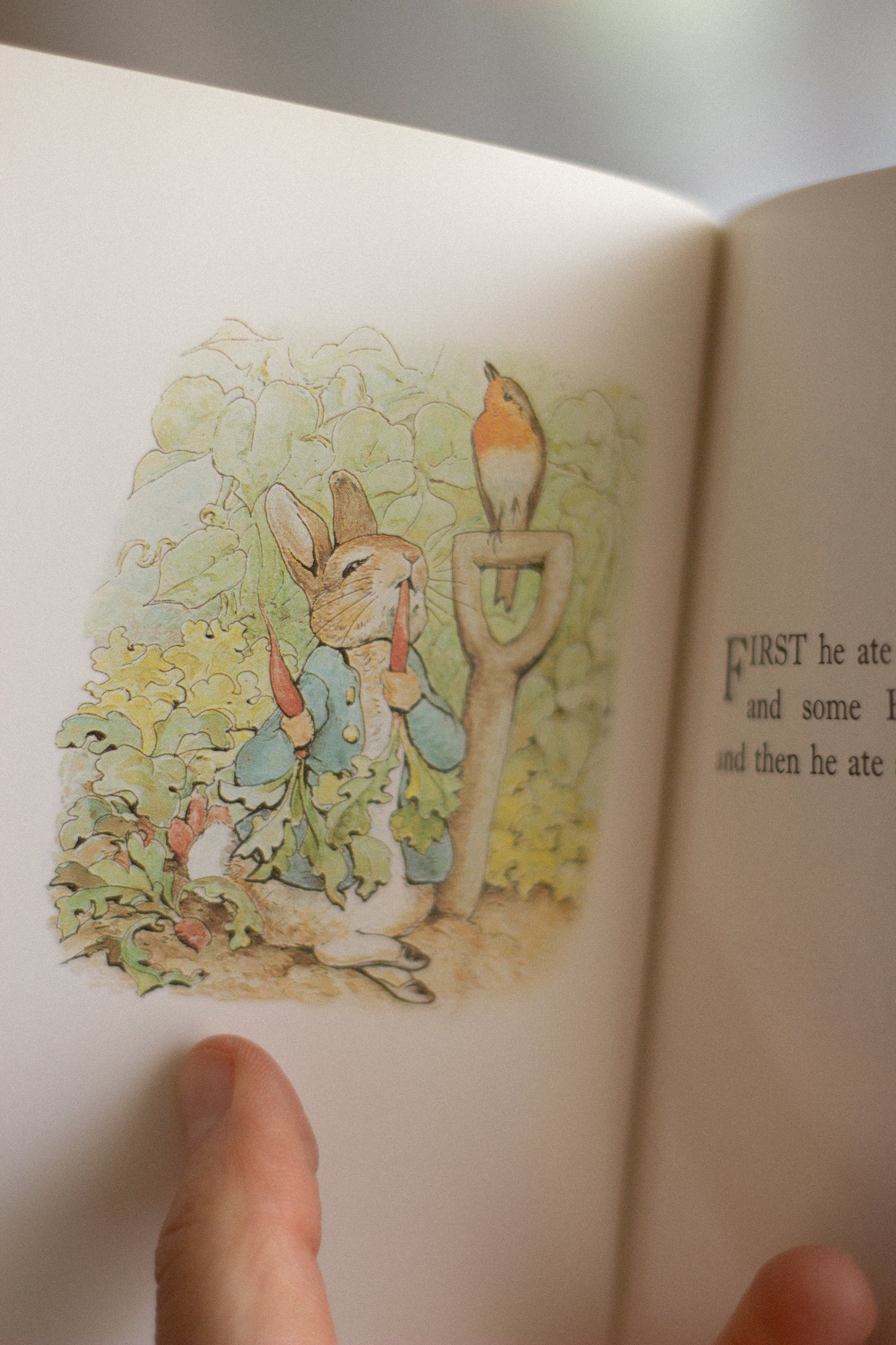 The Tale of Peter Rabbit (Soft Cover)