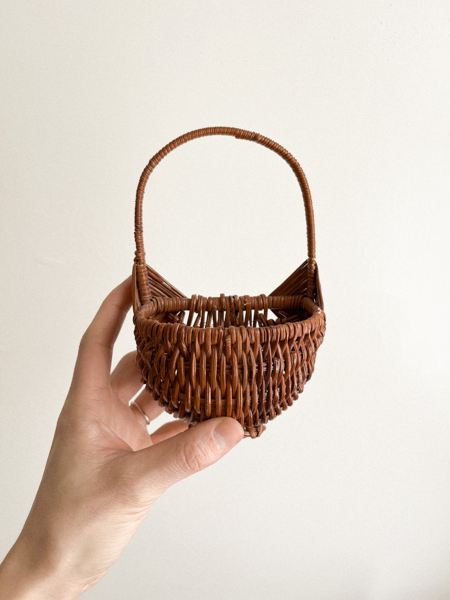 Mini Hanging Baskets